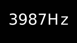 Speaker Sound Test 3987Hz
