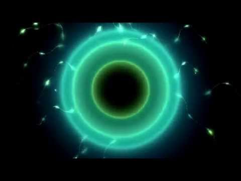 Invitation to a photon party