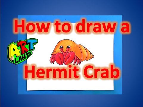 how-to-draw-a-hermit-crab