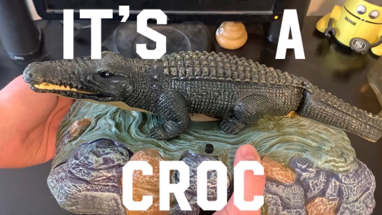 New in box Croc-O-Rock unboxing