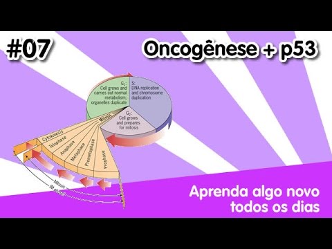 Vídeo: Uso Do Sequenciamento Direcionado Da Próxima Geração Para Caracterizar A Carga Mutacional Do Tumor E A Eficácia Da Inibição Do Ponto De Verificação Imune No Câncer De Pulmão De Peq