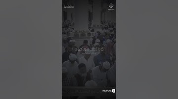 مقتطف من تلاوة فضيلة الشيخ #عبدالله_القرافي من مغرب 5 ربيع الآخر 1447هـ