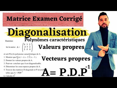 Matrice Diagonalisable : Polynômes caractéristiques+ valeurs propres et Vecteurs Propres