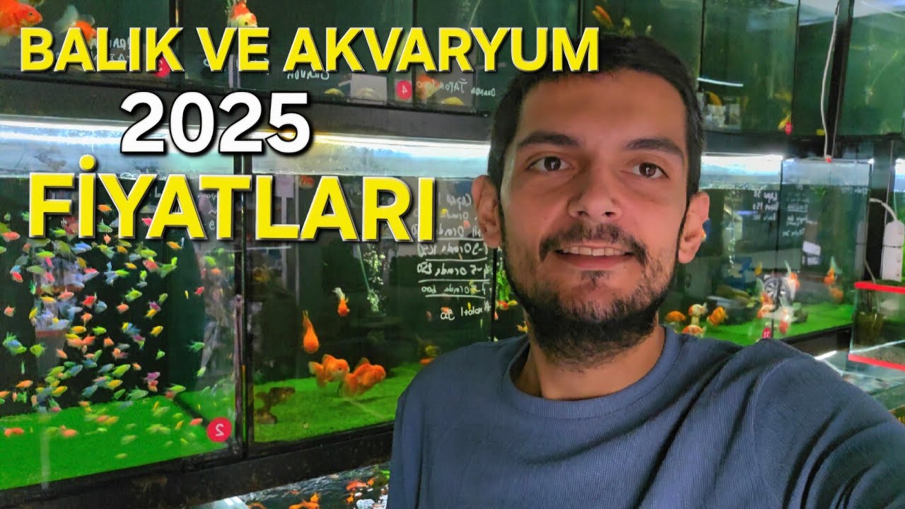 2025 GÜNCEL AKVARYUM VE BALIK FİYATLARI. PETSHOPTAN BALIK FİYATLARI ! #akvaryum #akvaryumbalığı