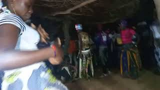 Balani douman zampere daou le grand baobab de culture africaine #video visibilité