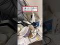この黒の点々は…?