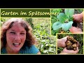 Garten im 🌻 Spätsommer │ Ernten Nachdüngen Pflanzen