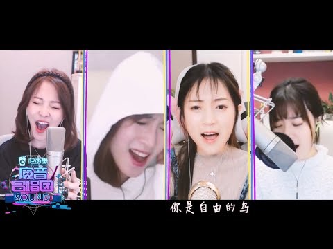 魔音合唱团：馮提莫、玄觞、風小筝、晶晶是大神唱張韶涵版本《阿刁》