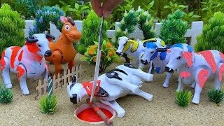 Wow  Potong Sapi Warna Warni Truk Oleng Muat Sapi Kurban