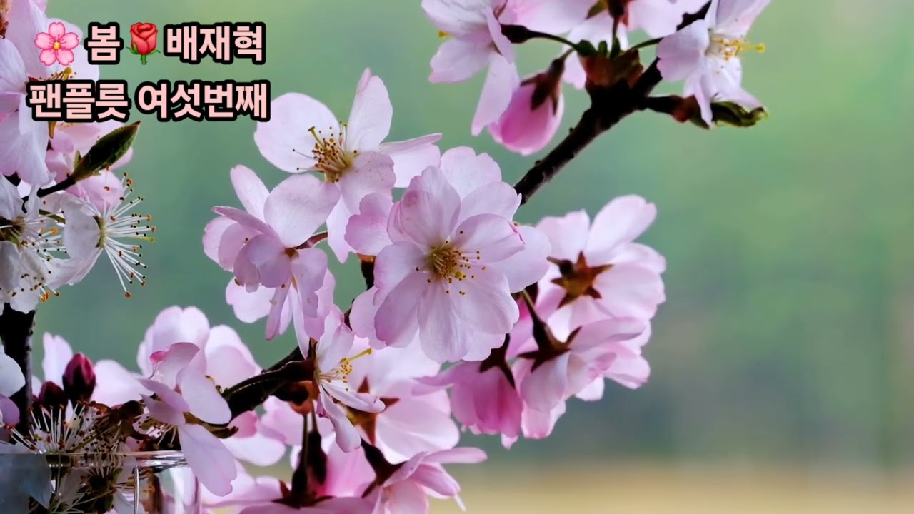 #봄