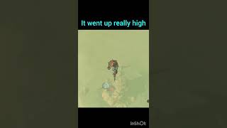 It went up really high      #zelda #botw #speedrun #glitchmoments