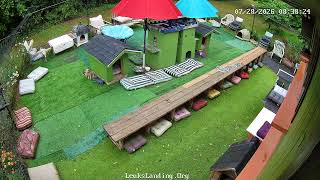 Outdoor Cat Cam at Leuk's Landing