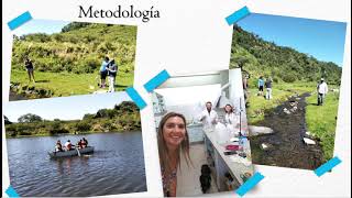 Calidad del agua del embalse Ipizca, Catamarca, Argentina: estudiopreliminar