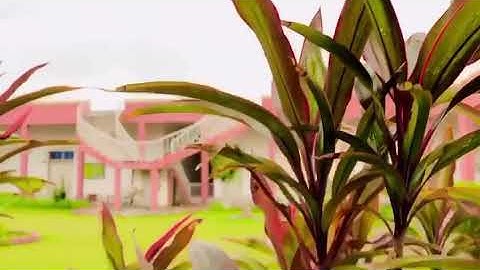 Bzu sociology department#Bzu# fun#tiktok fun#fun 2021