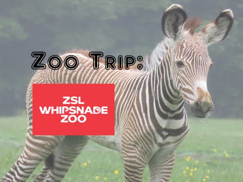 whipsnade trip