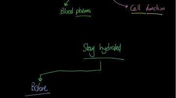 Edexcel GCSE PE - Hydration
