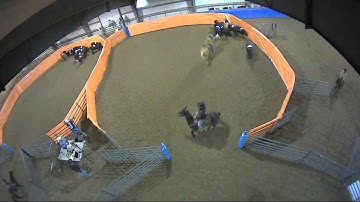 Big Sky Ranch Sorting Saddle Series #2 - #3 - Round #1 - Ride #28
