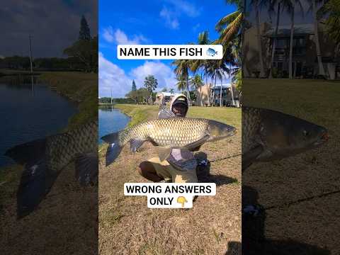 BIG FISH! #fishing #fyp