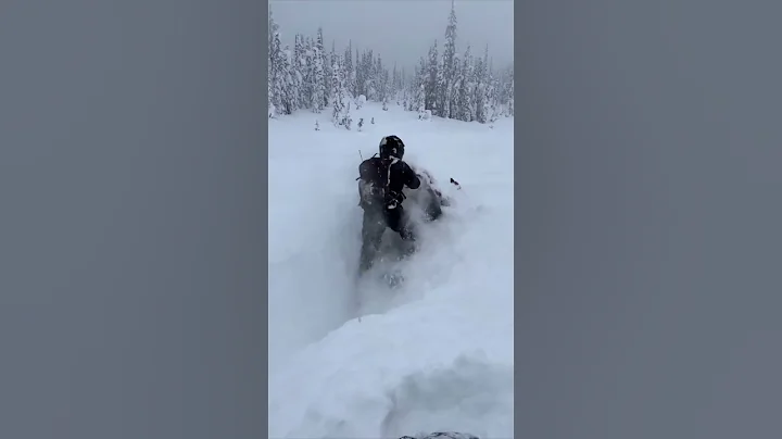 Lynx Snowmobiles: How to get unstuck