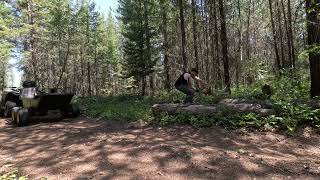 Forest Tidy 9th May 2026