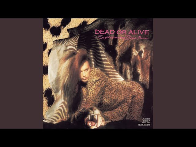 Dead Or Alive - You Make Me Wanna