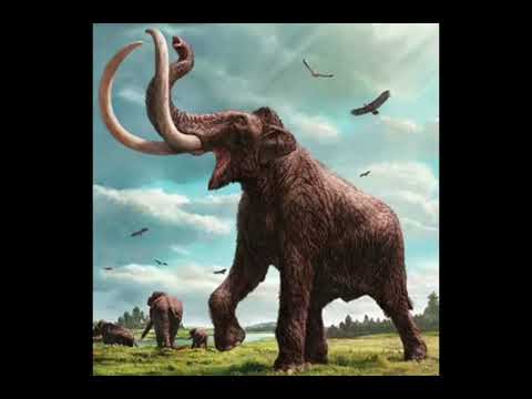 Mammoth Roar Sound