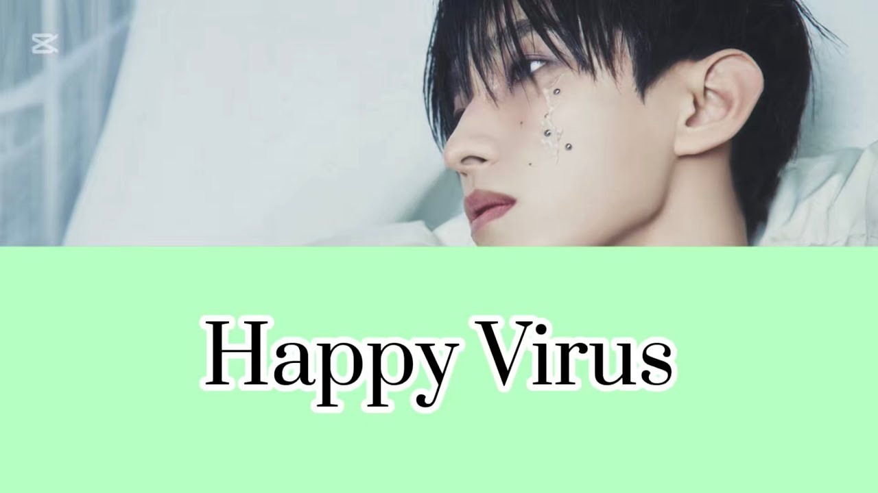 【SEVENTEEN/세븐틴/セブンティーン】Happy Virus(DK Solo)【歌詞動画/和訳/カナルビ】