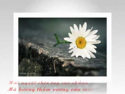 Huong tham ( Tran Thi Thanh Nhan)