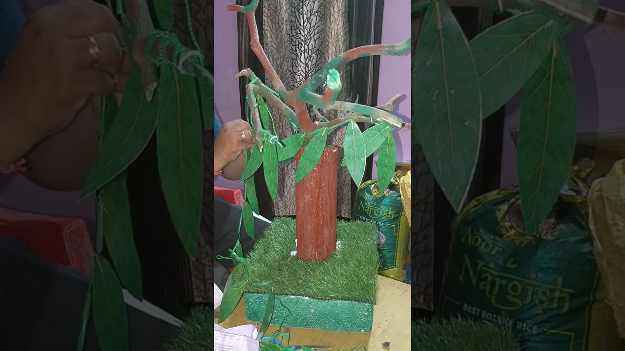 Family tree school project/How to make family tree ideas using original tree trunk & branches