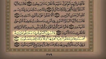 القارئ سعد التوم قصة النبي سليمان عليه السلام