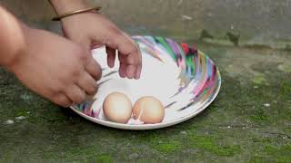 Preparing Egg Food for Budgies Parrot | How To Make Egg food For Budgies