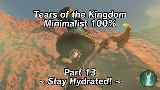 Tears of the Kingdom Minimalist 100% Part 13 - Stay Hydrated! by Wolf Link 3,372 views 6 months ago 16 minutes