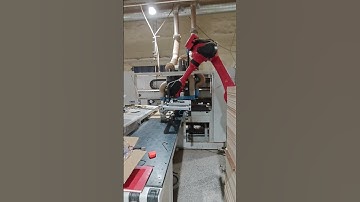 Palletizing robot.#robot #welding #industrial #spraying #stamping #machine #polish