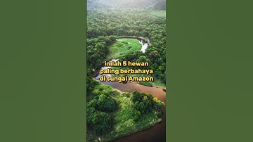 Inilah 5 Hewan Paling Berbahaya Di Sungai Amazon #fakta #faktaunik #faktamenarik