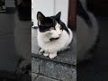 Брестская🐈 невозмутимая🌚 телезвезда🗿22.01.23.🙂