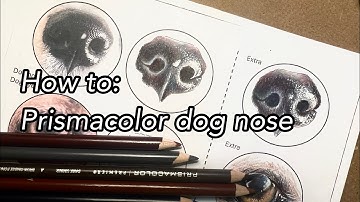 How to: Shade dog nose using prismacolor colored pencils