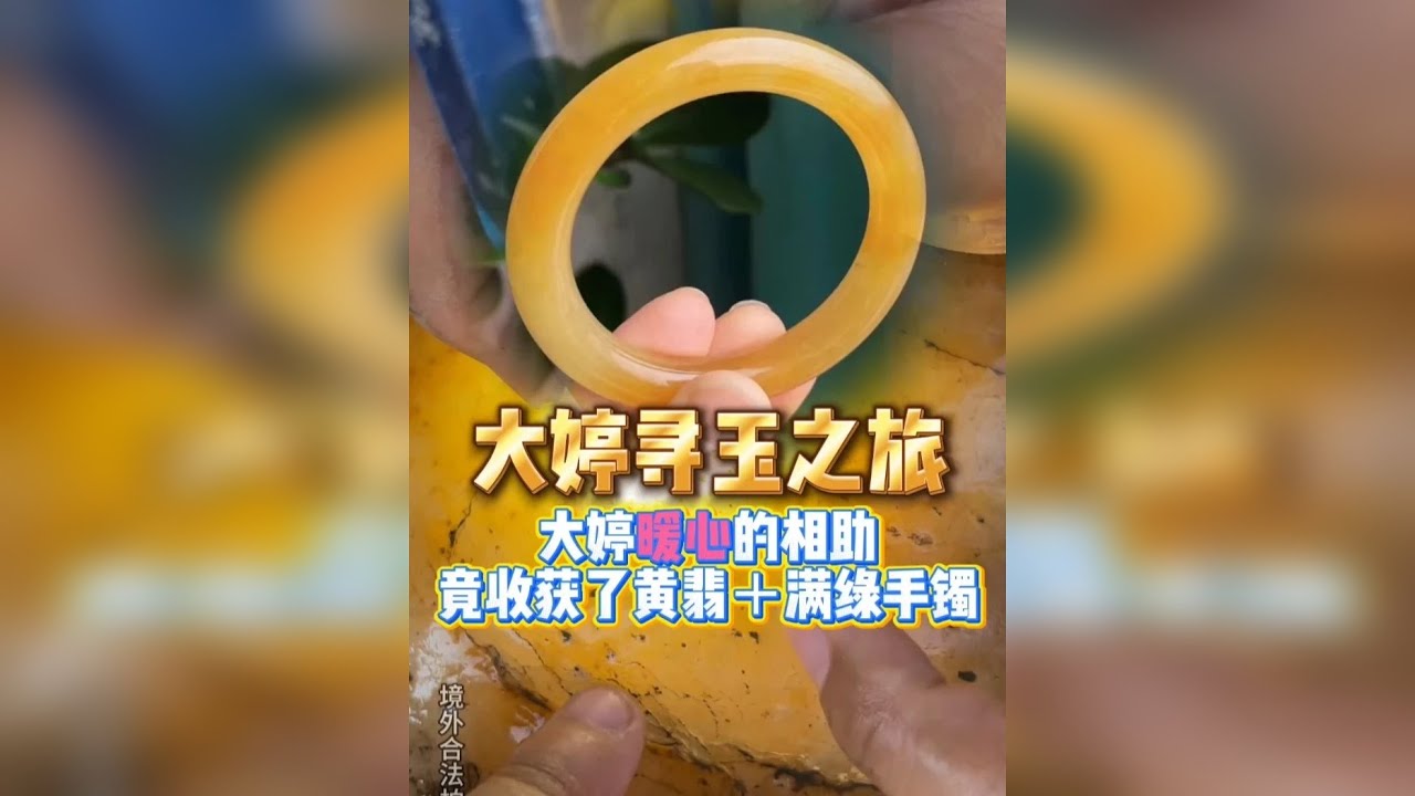 大婷暖心的相助，竟收获了黄翡加满绿手镯！！