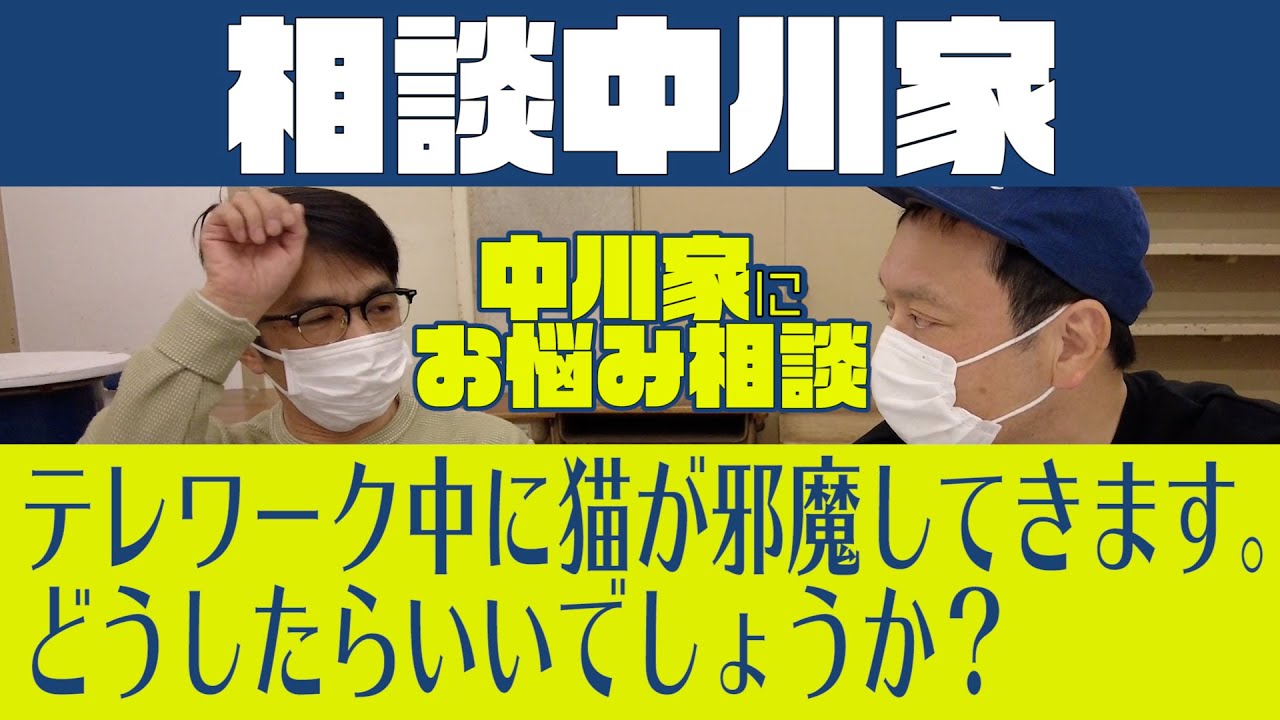 相談中川家 テレワーク中に猫が邪魔してきます 可愛くて仕事にならないのですが どうしたらいいでしょうか Youtube