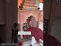 Bhakti song by meeka #song #hindisong #shortvideo