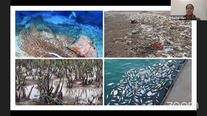 Plastic Pollution | Rachel Giles