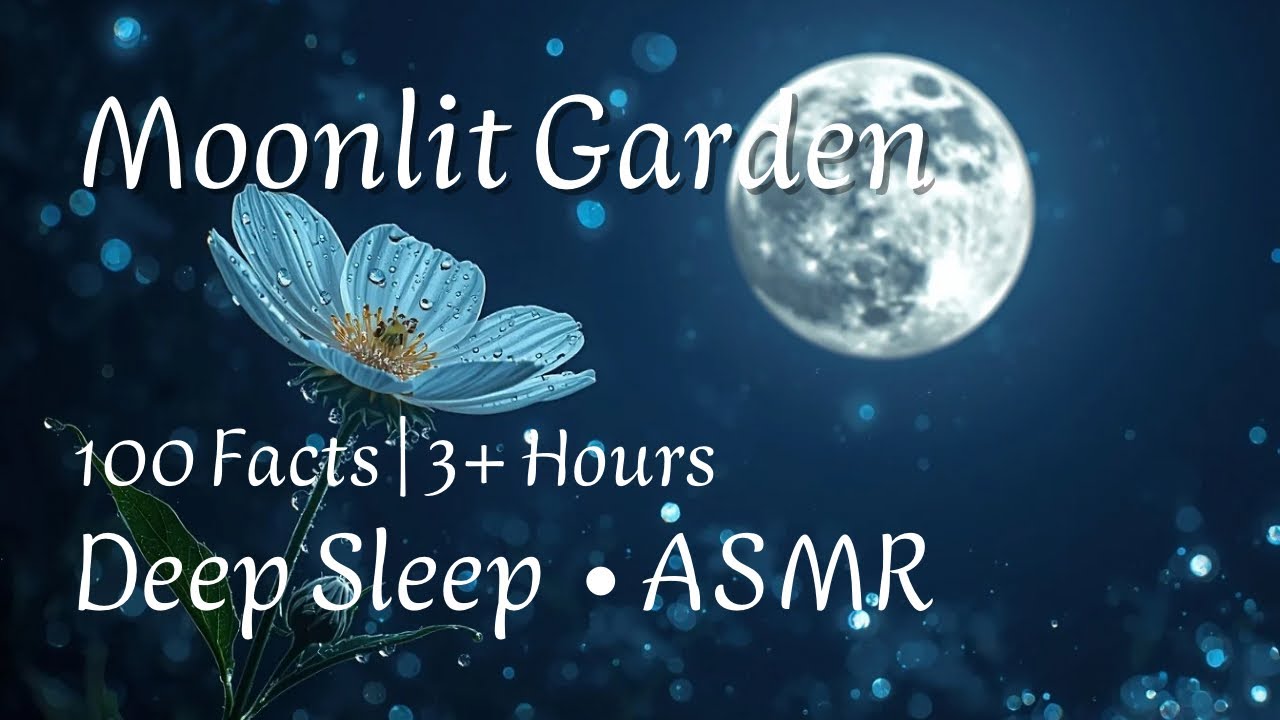 Moonlit Garden Deep sleep 🌙 | Facts for sleep: Night Blooming Flowers, Dewdrops & Nocturnal Nature