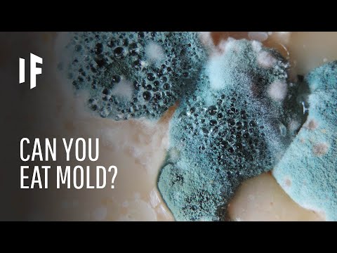 Video: What To Do If You Swallow Mold