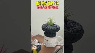 防過敏的綠植，對鼻炎人群友好#园艺 #花花世界