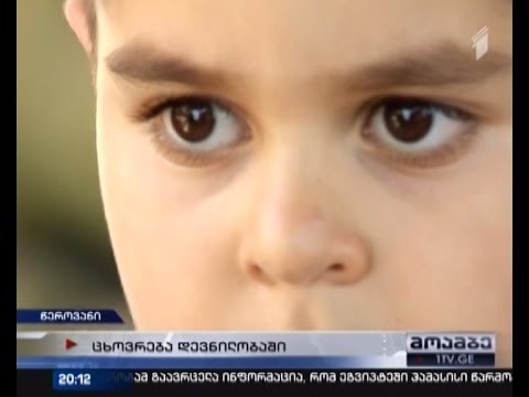 რუსული აგრესიის კვალი - მავთულხლართები, გატაცებები, მიტაცებული მიწები და ტაძრები