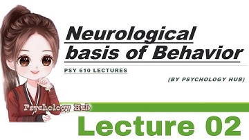 PSY 610 short lecture 2 //Neurological basis of behavior Lecture 02 // Psychology Hub