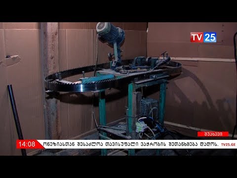 ხე-ტყის ტრანსპორტირების წესის დარღვევის ფაქტი შუახევში