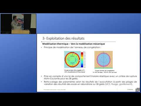 Vidéo: Analyse Du Puits Au Réveil Des Voies De L'éthanol Au Jet Et Du Sucre Au Jet