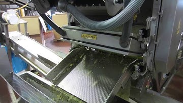 Zucchini sorting machine Genius - TOMRA Sorting