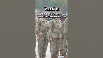 U.S. Air Force: BMT Breakdown