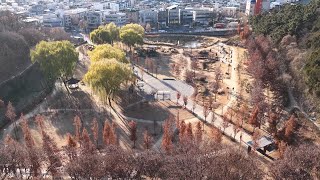 대구대표도시숲 영상